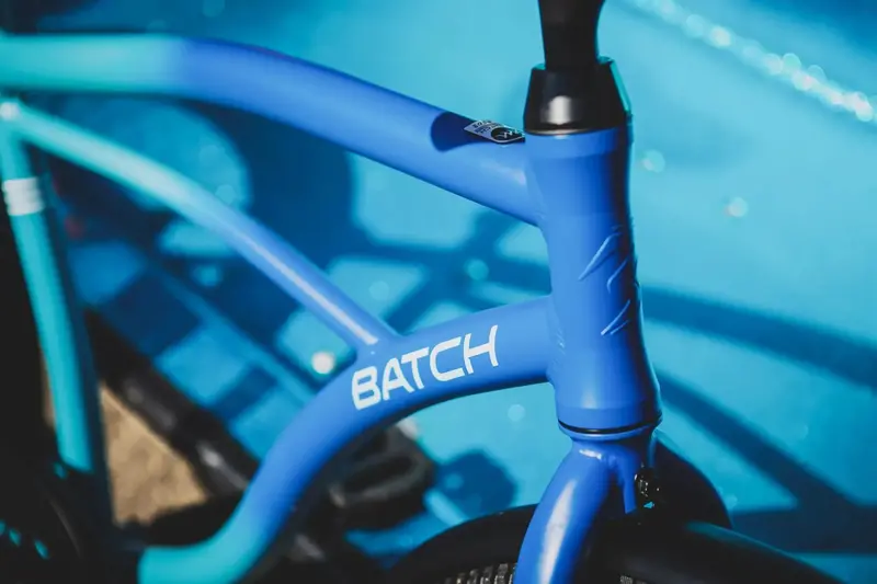 Batch The Cruiser Bicycle 2