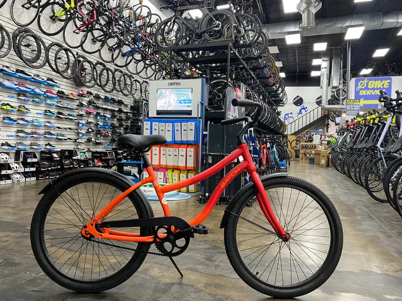 Batch The Cruiser Bicycle - Demo 2