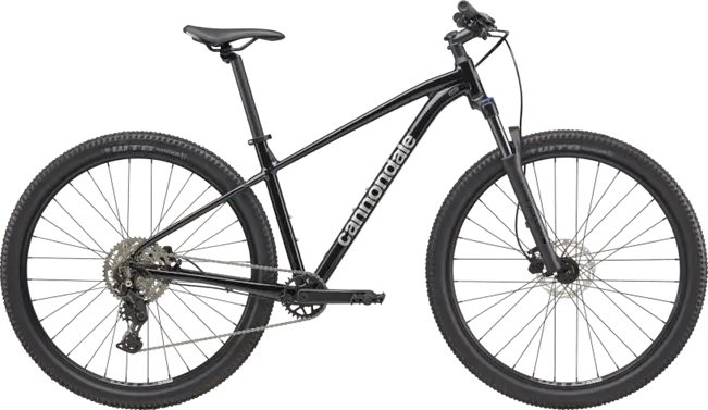 Cannondale Trail 2 1