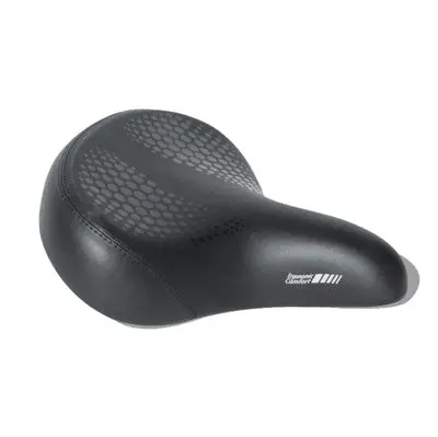 Delta Comfort Saddle Cruiser 1
