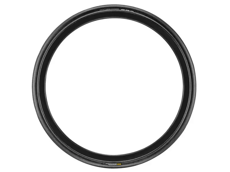 Giant Gavia Fondo 1 Tire 1