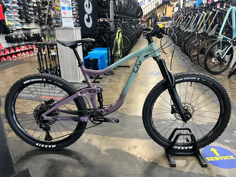 Liv Intrigue Sram Sx Eagle - Eucalyptus / Purple Ash 2022 1