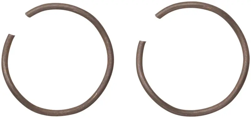 Zipp Cognition Nsw, Zr1, Zm2 Wave Spring (Qty 2) 1