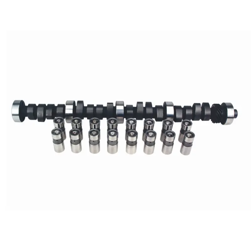 Lunati 30310512Lk Hydraulic Flat-Tappet Camshaft And Lifter Kit For Small-Block V8 Engines 1